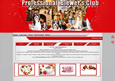 Скриншот biewerclub.rusff.me